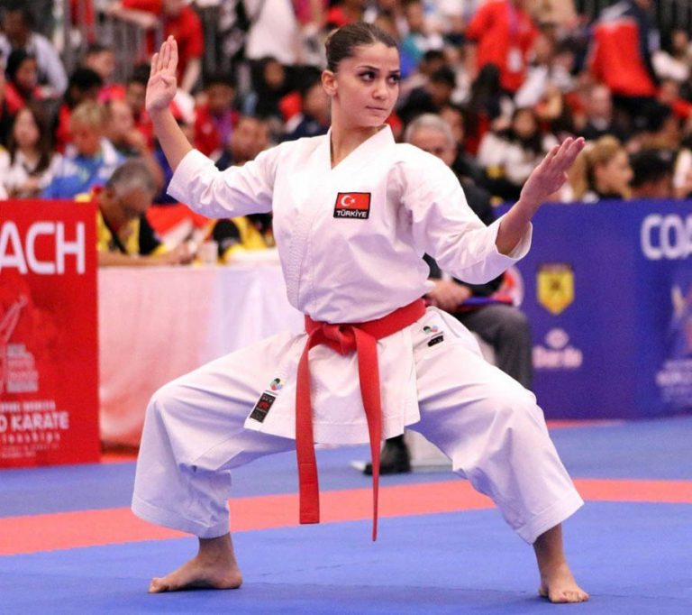 Karate Nedir? Türk Karate